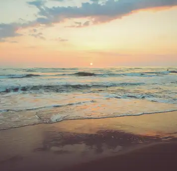 Image related to Princess Margaret Beach