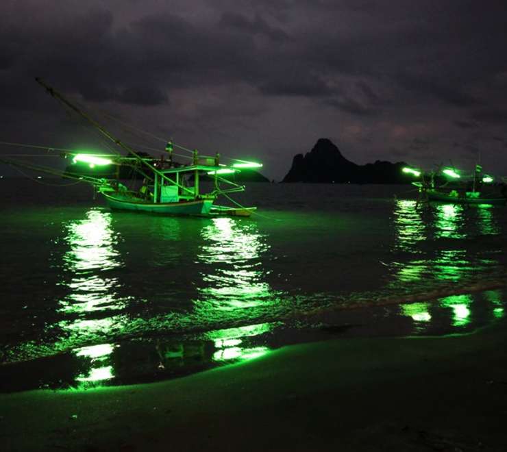 Nighttime Squid Fishing