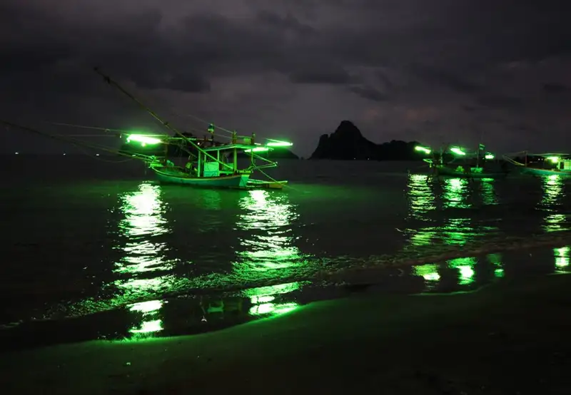 Nighttime Squid Fishing