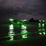 Image related to Nighttime Squid Fishing