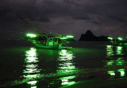 IgluCruise.Application.ViewModels.Shared.WebImageViewModel?.Description