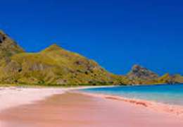 IgluCruise.Application.ViewModels.Shared.WebImageViewModel?.Description