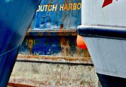 IgluCruise.Application.ViewModels.Shared.WebImageViewModel?.Description