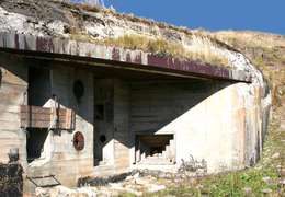 IgluCruise.Application.ViewModels.Shared.WebImageViewModel?.Description