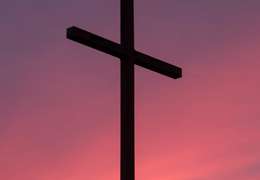 IgluCruise.Application.ViewModels.Shared.WebImageViewModel?.Description