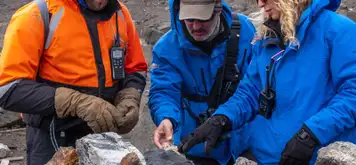 Image related to Discovery Team