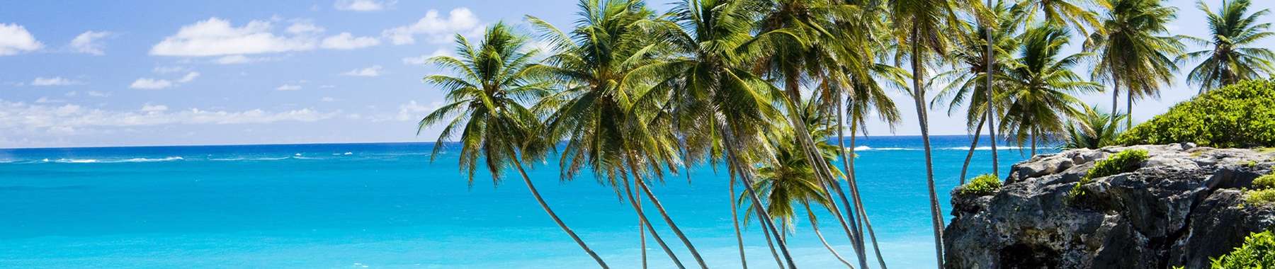 Caribbean cruises