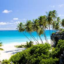 Caribbean