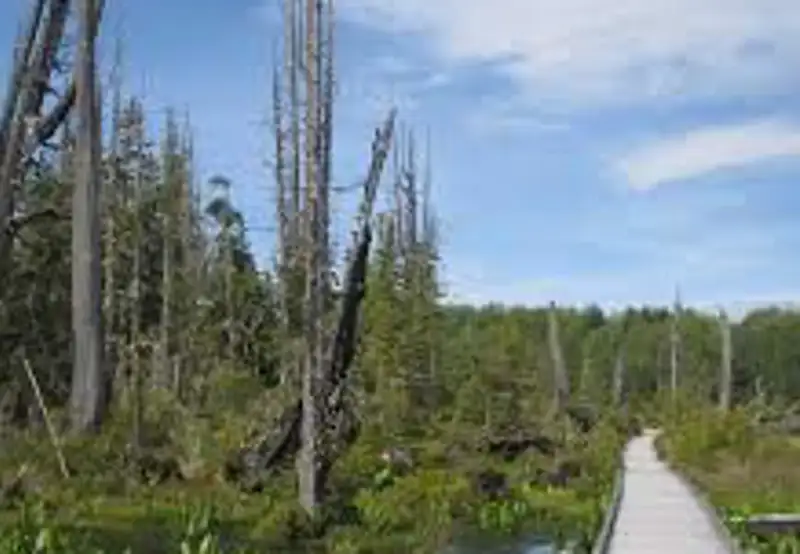 Alert Bay Ecological Park