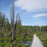 Image related to Alert Bay Ecological Park