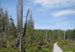 IgluCruise.Application.ViewModels.Shared.WebImageViewModel?.Description