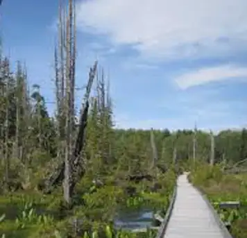 Image related to Alert Bay Ecological Park
