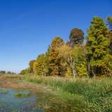 Image related to Comana Natural Park