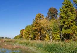 IgluCruise.Application.ViewModels.Shared.WebImageViewModel?.Description