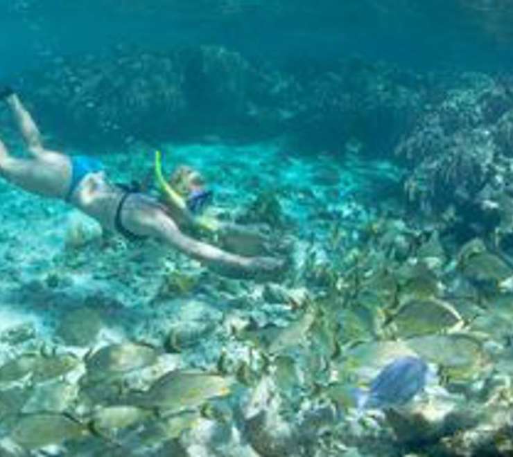 Snorkeling at the Beach