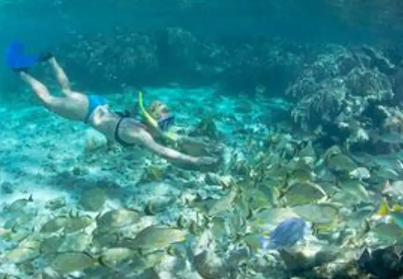 Snorkeling at the Beach