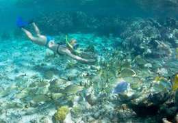 IgluCruise.Application.ViewModels.Shared.WebImageViewModel?.Description