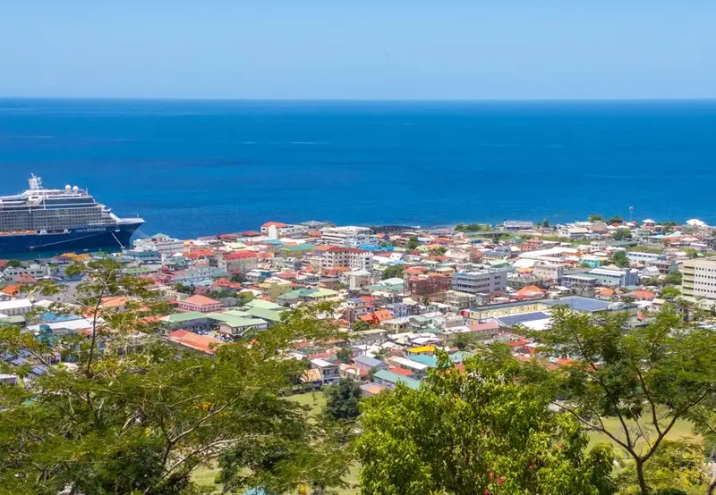 Image related to Morne Bruce