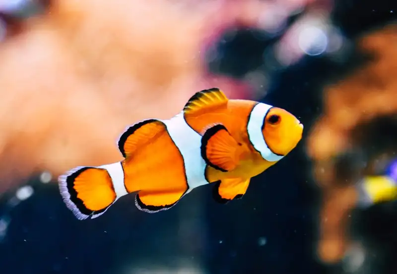 Image related to Museum