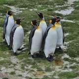 Image related to Yorke Bay