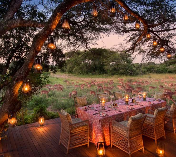 Luxury Kruger and Phinda safari, winelands and Cape Town tour (8 nights)
