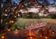 Luxury Kruger and Phinda safari, winelands and Cape Town tour (8 nights)