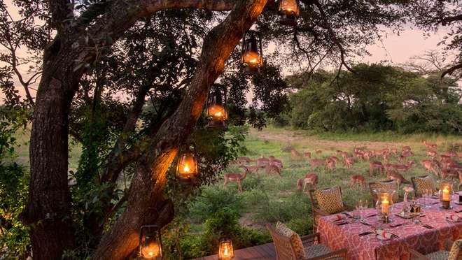Luxury Kruger and Phinda safari, winelands and Cape Town tour (8 nights)