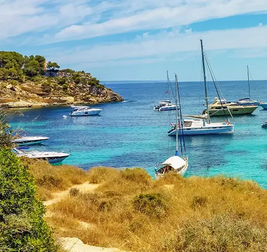 Image related to Palma De Mallorca