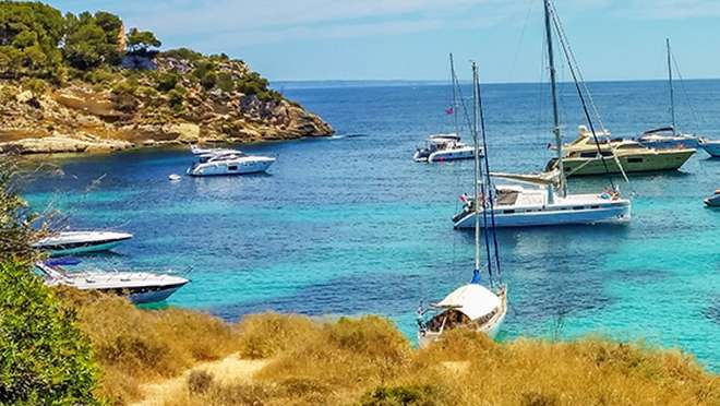 Embrace the Charm of Palma