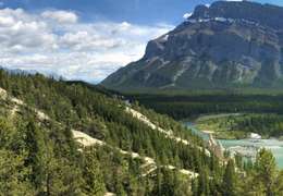 IgluCruise.Application.ViewModels.Shared.WebImageViewModel?.Description