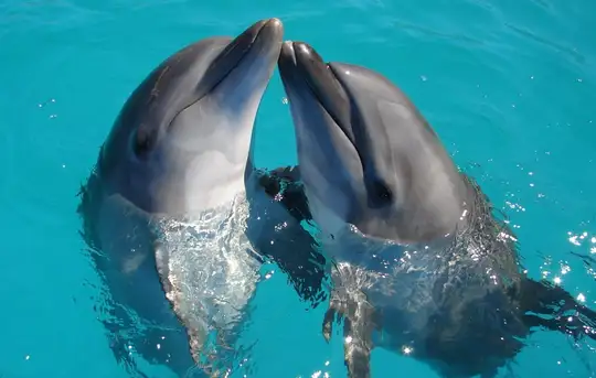 Image related to Aquarium