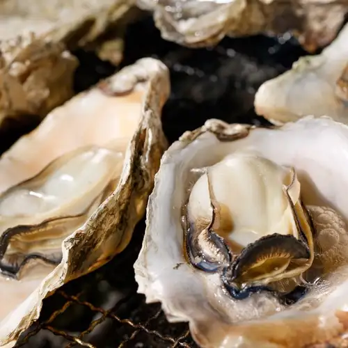 Image related to French Cuisine