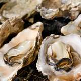 Image related to French Cuisine