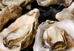 IgluCruise.Application.ViewModels.Shared.WebImageViewModel?.Description