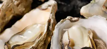 Image related to French Cuisine