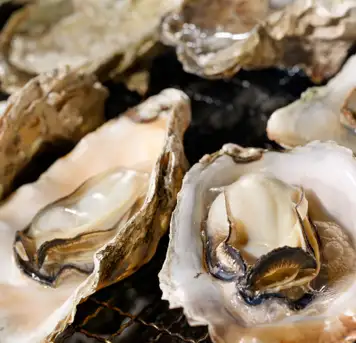 Image related to French Cuisine