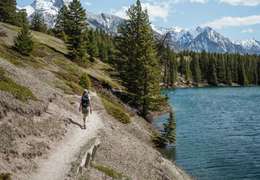 IgluCruise.Application.ViewModels.Shared.WebImageViewModel?.Description