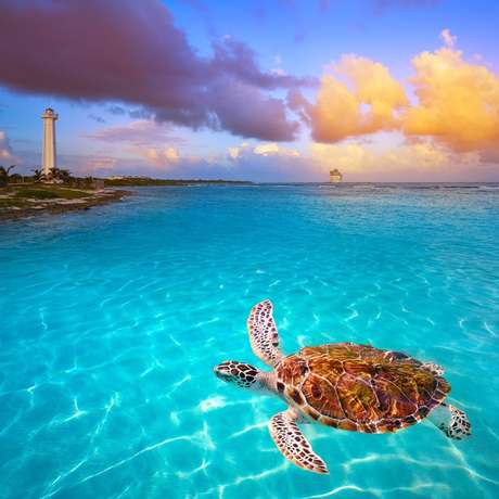 Photo overview of Majahual, Costa Maya