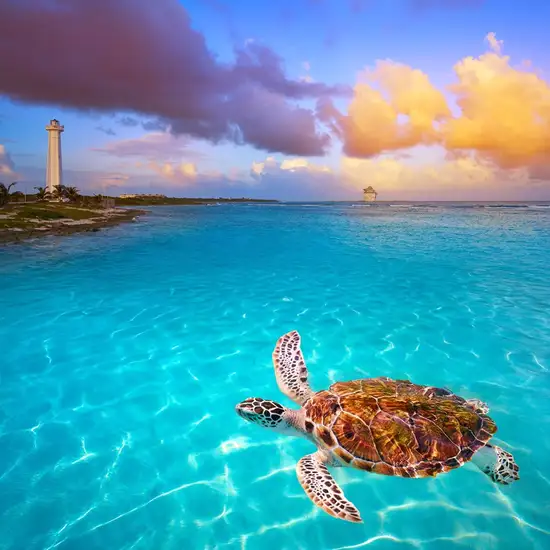 Image related to Majahual, Costa Maya