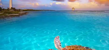 Image related to Majahual, Costa Maya