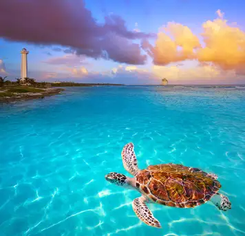 Image related to Majahual, Costa Maya