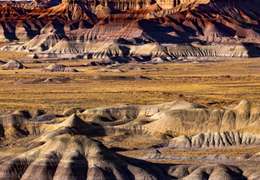 IgluCruise.Application.ViewModels.Shared.WebImageViewModel?.Description