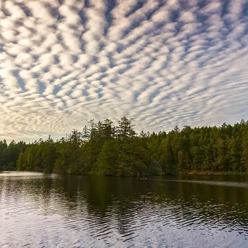 Image related to Thetis Lake Regional Park