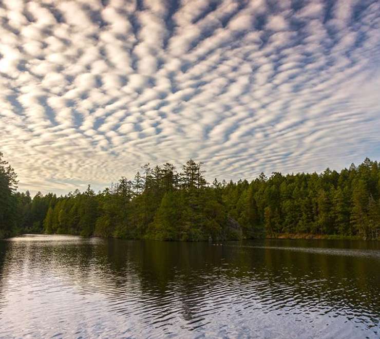 Thetis Lake Regional Park