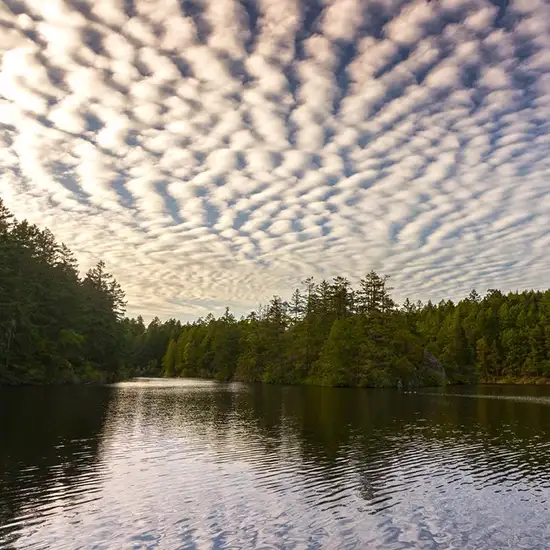 Image related to Thetis Lake Regional Park