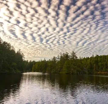 Image related to Thetis Lake Regional Park