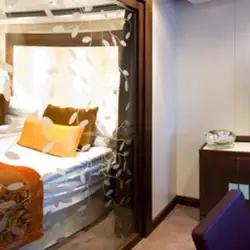 Image related to Penthouse Spa Suite