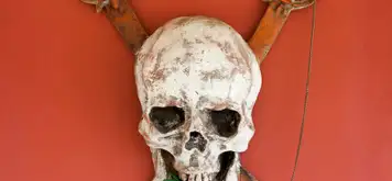 Image related to Pirates of Nassau