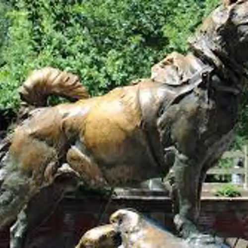 Image related to See the Balto and Togo Tributes