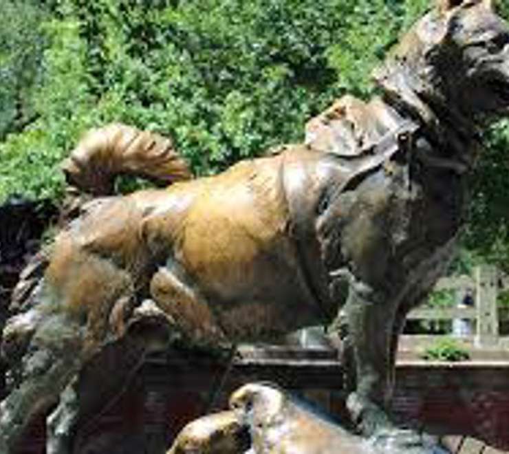 See the Balto and Togo Tributes